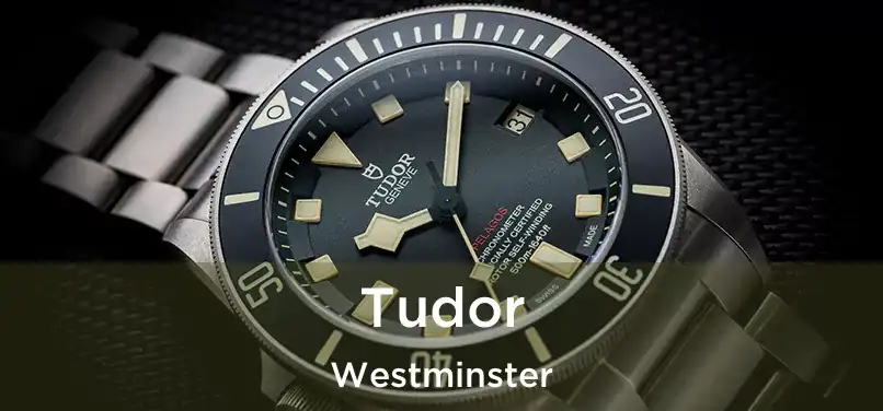  Tudor Westminster